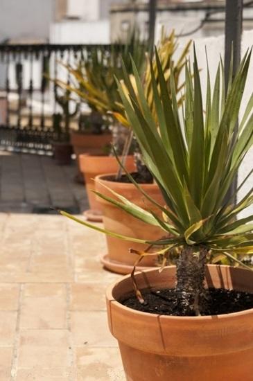 Apartamentos Almirante Hoyos Sevilla Kültér fotó